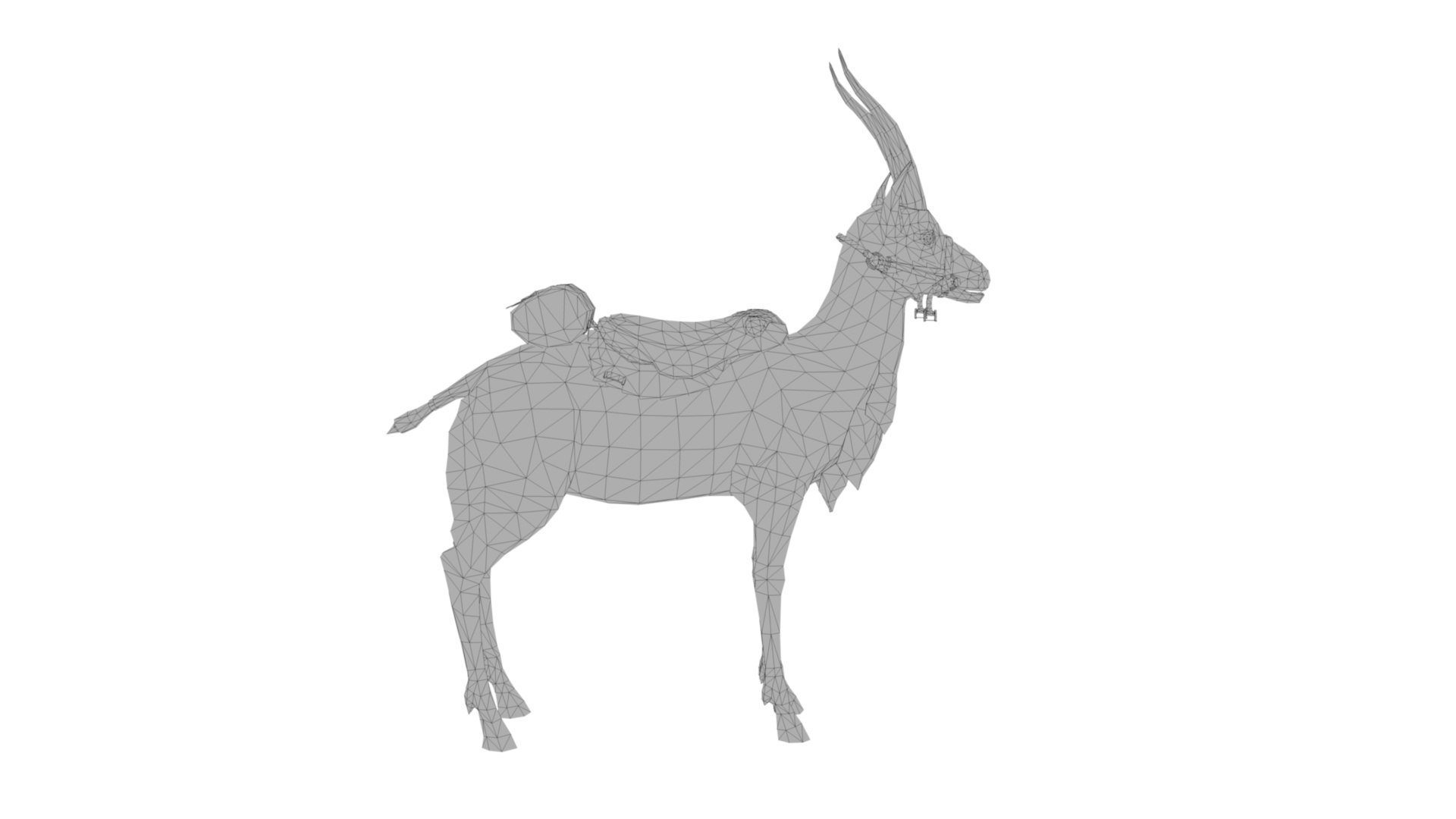 3D Gazelle https://p.turbosquid.com/ts-thumb/S4/V1A6TJ/SR/dfs0009/jpg/1727105629/1920x1080/fit_q87/cb2055ca9c1ac152d712342c69d3d2873c63d93e/dfs0009.jpg