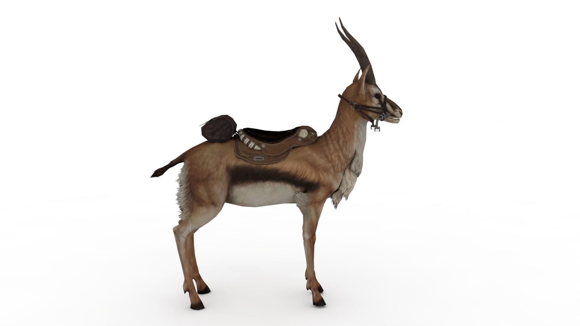 3D Gazelle https://p.turbosquid.com/ts-thumb/S4/V1A6TJ/bW/dfs0001/jpg/1727105631/1920x1080/fit_q87/1c313360806f7f8b45fd342d522f5de74af07f3f/dfs0001.jpg