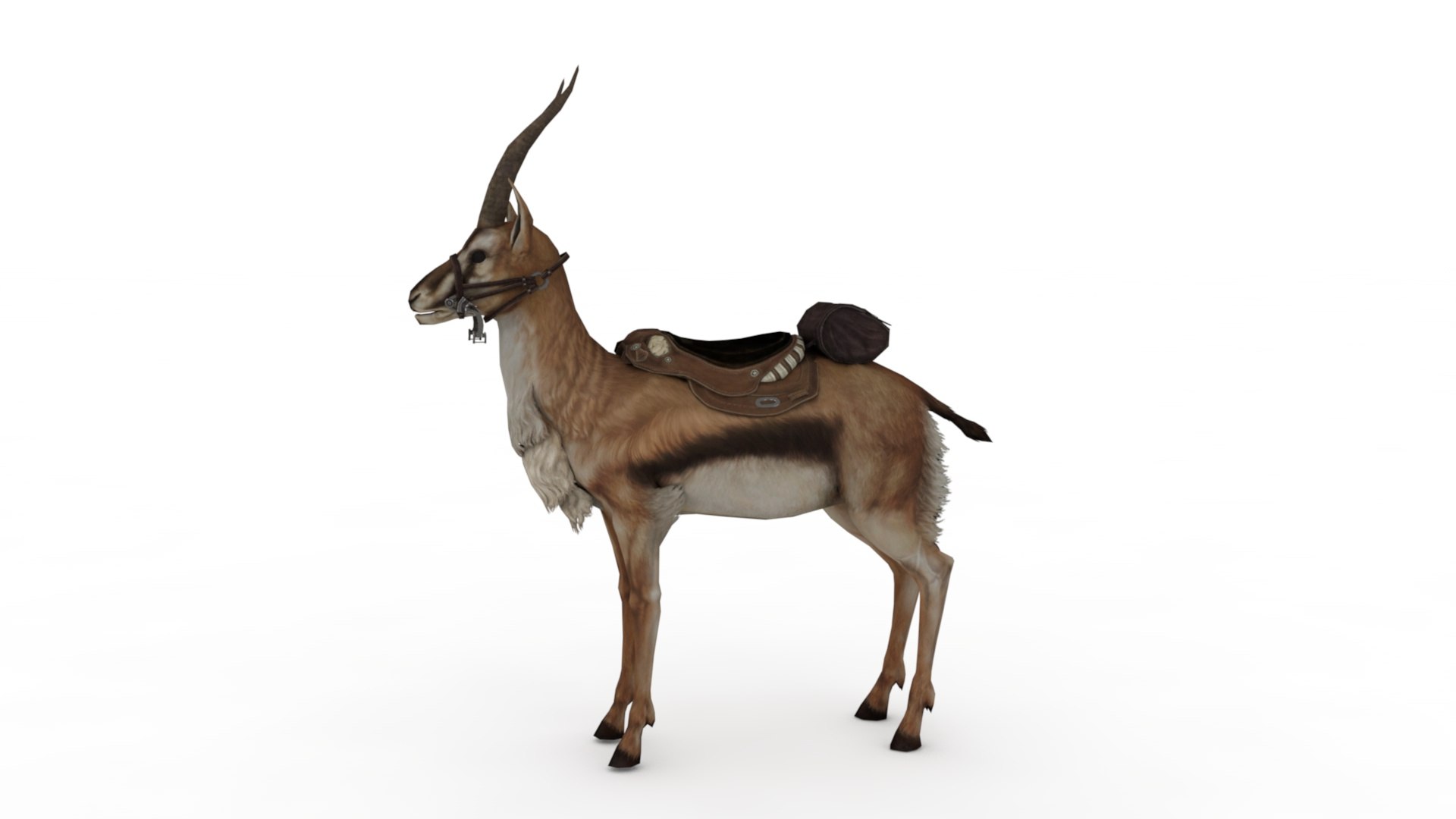 3D Gazelle https://p.turbosquid.com/ts-thumb/S4/V1A6TJ/ht/dfs0004/jpg/1727105622/1920x1080/fit_q87/e7a22ef9a73860d8cf2e41b24a8f1f184e9a8559/dfs0004.jpg