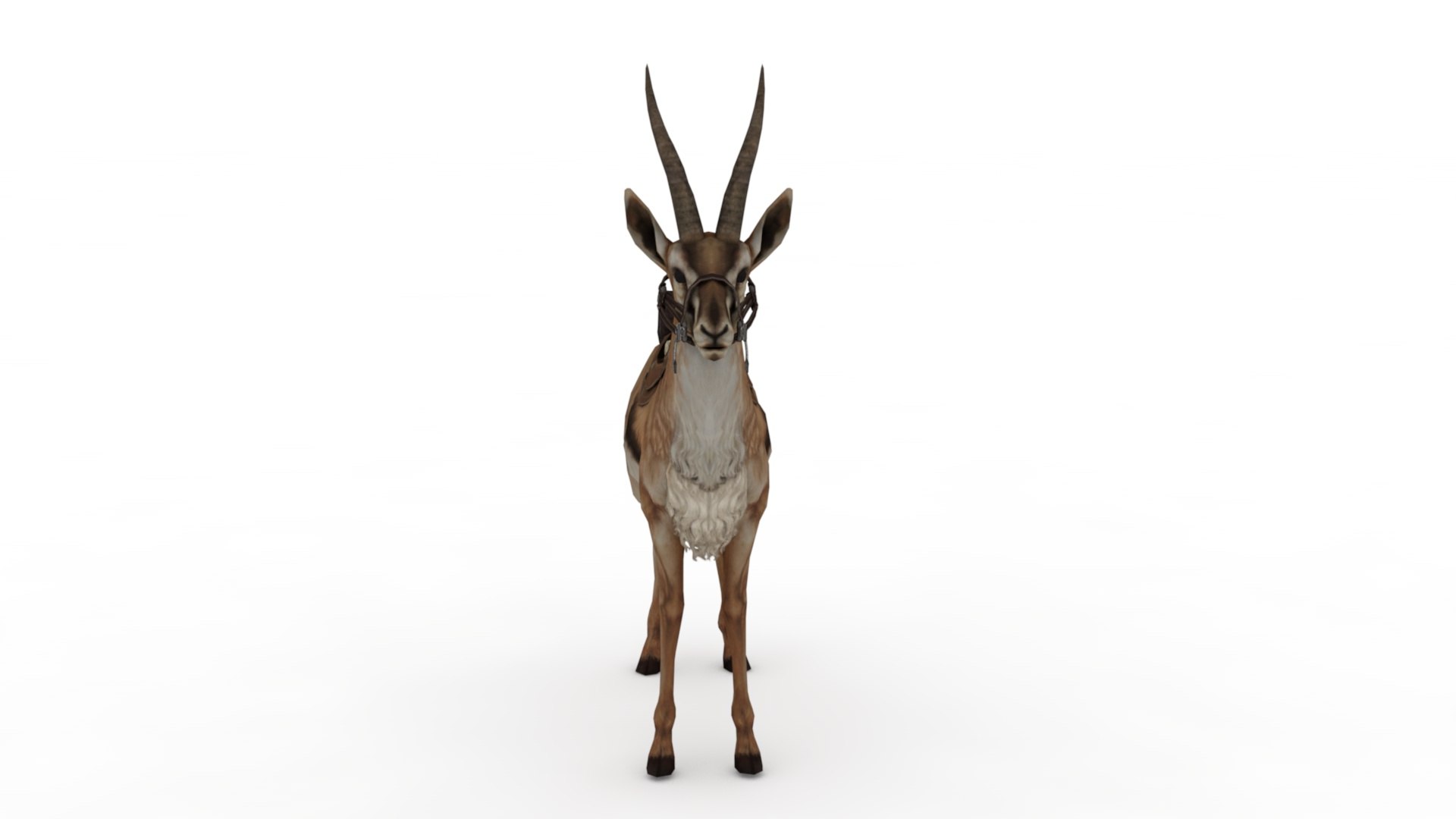 3D Gazelle https://p.turbosquid.com/ts-thumb/S4/V1A6TJ/iv/dfs0002/jpg/1727105620/1920x1080/fit_q87/2544b190efbfd506841c2f8ea4895546790b134a/dfs0002.jpg
