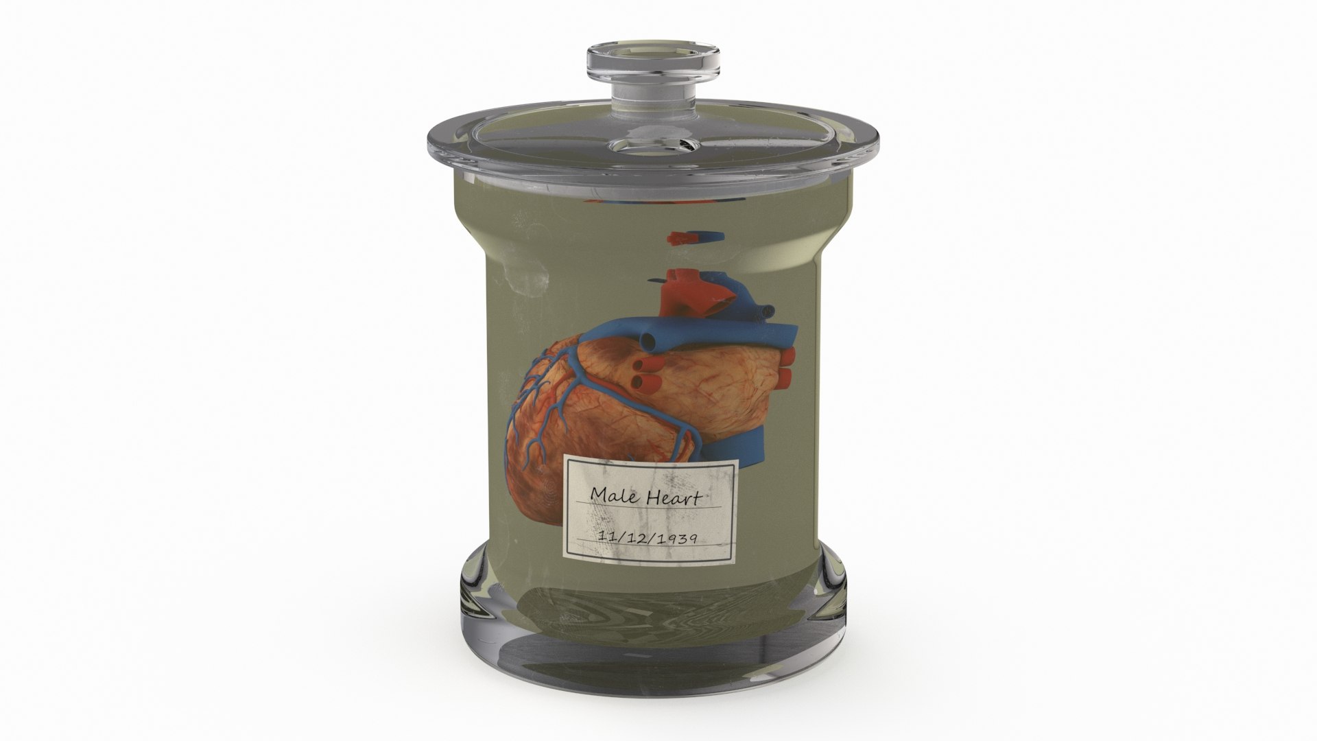Human Heart in Glass Jar 3D model preview
