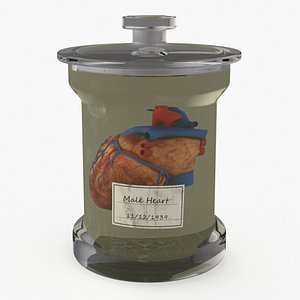 Human Heart in Glass Jar 3D