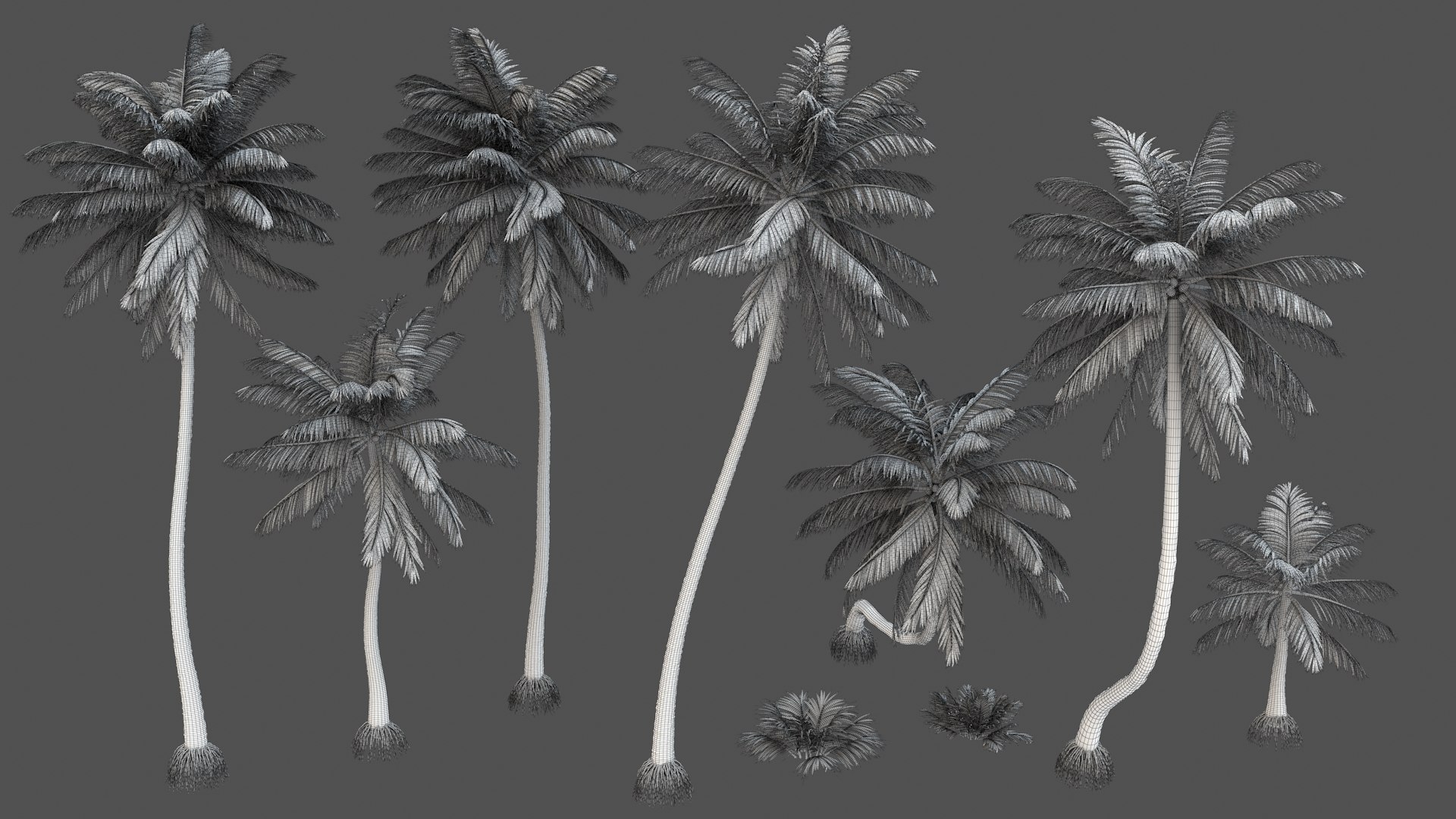 3D palm v-ray coconut https://p.turbosquid.com/ts-thumb/S4/mdYRJr/LA5qmheb/8/jpg/1604506870/1920x1080/fit_q87/db06ce01ab37290cb4afa0253a2373ff2b5e0666/8.jpg
