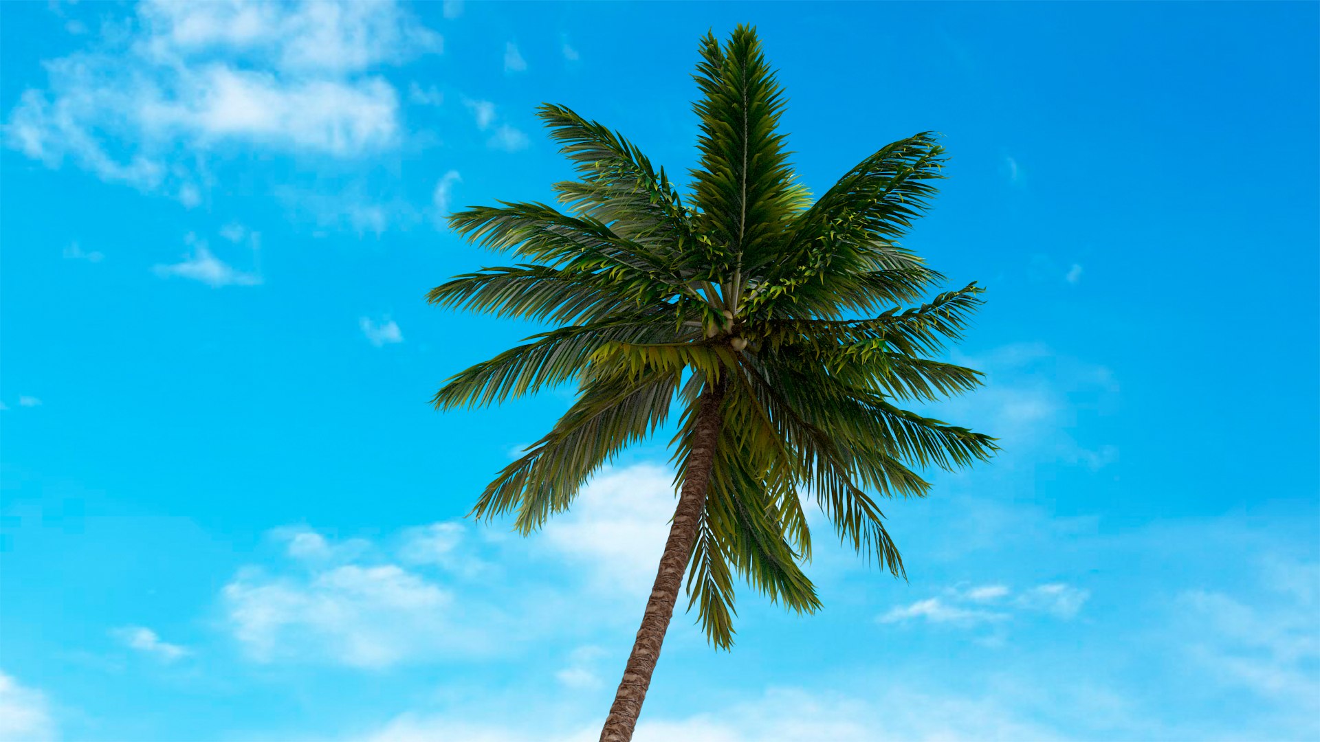 3D palm v-ray coconut https://p.turbosquid.com/ts-thumb/S4/mdYRJr/aKDG6ywZ/6/jpg/1604505240/1920x1080/fit_q87/f9792c2668de63c75d9d3b8a9f3476230fb72c4a/6.jpg