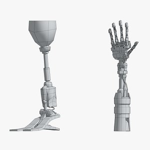 Robot arm and leg