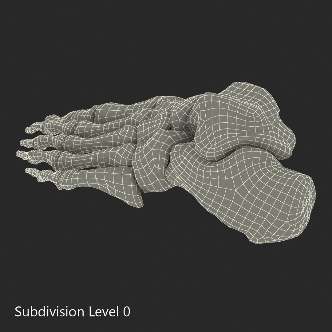3d male skeleton model https://p.turbosquid.com/ts-thumb/S5/62n0au/p4fRn2J6/maleskeletoncollection3dmodels084/jpg/1464516509/1920x1080/fit_q87/2d0518ba68da76d987ed25fcb2327ba73f5b35bd/maleskeletoncollection3dmodels084.jpg