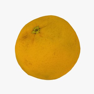 Bahia Orange - Real-Time 3D Scanned