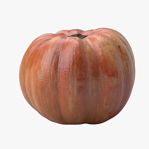orange pumpkin 3D model