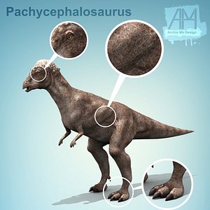dinosaurs Pachycephalosaurus