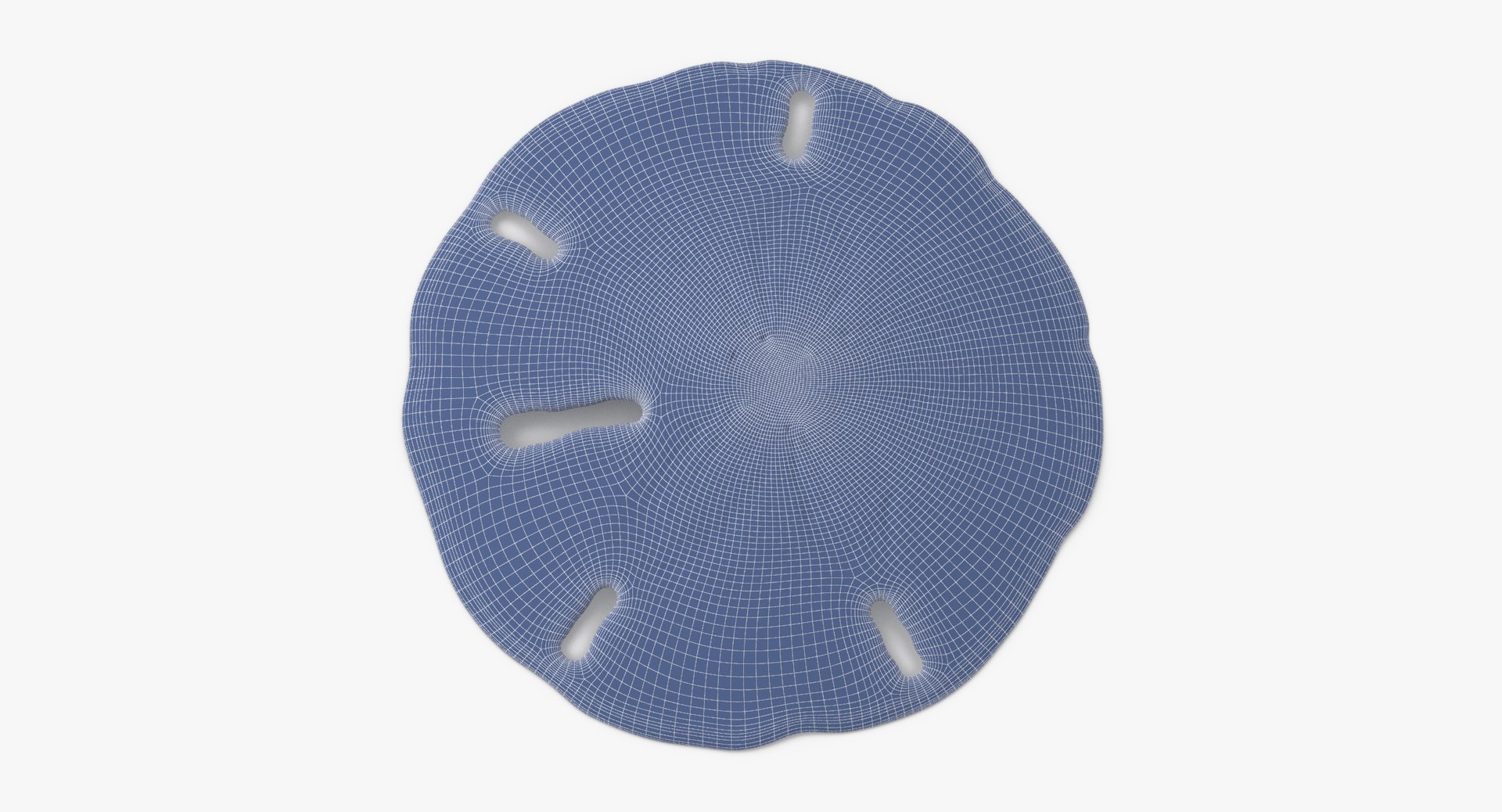 3D sea animals 02 https://p.turbosquid.com/ts-thumb/S5/FeuBcJ/41i8llxD/keyhole_sand_dollar_002_wireframe_0002/jpg/1499174599/1920x1080/fit_q87/e21d2c07a0b8129b34fb03c33bf62352de336c45/keyhole_sand_dollar_002_wireframe_0002.jpg