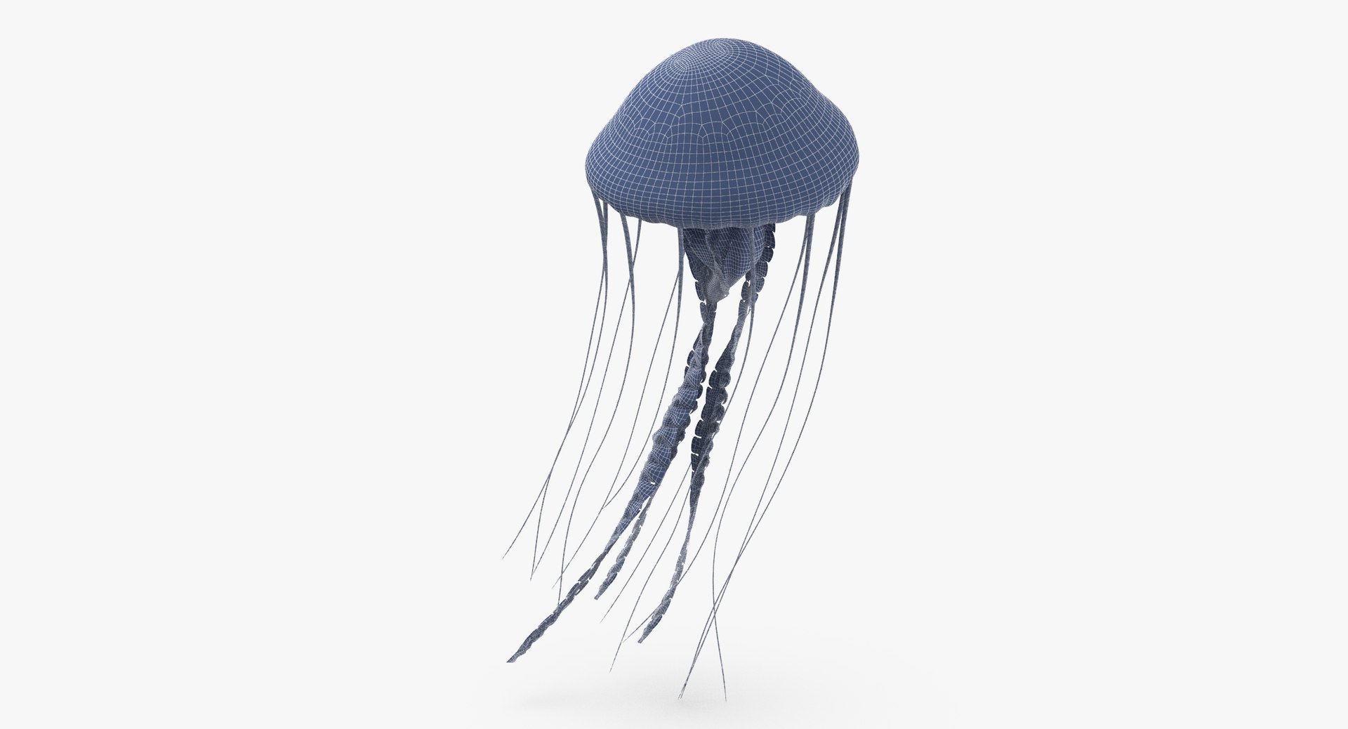 3D sea animals 02 https://p.turbosquid.com/ts-thumb/S5/FeuBcJ/4Gv3WbIN/jellyfish_01_wireframe_0004/jpg/1499166754/1920x1080/fit_q87/5b2293f1908196f161bed039cb3ab450d987524b/jellyfish_01_wireframe_0004.jpg