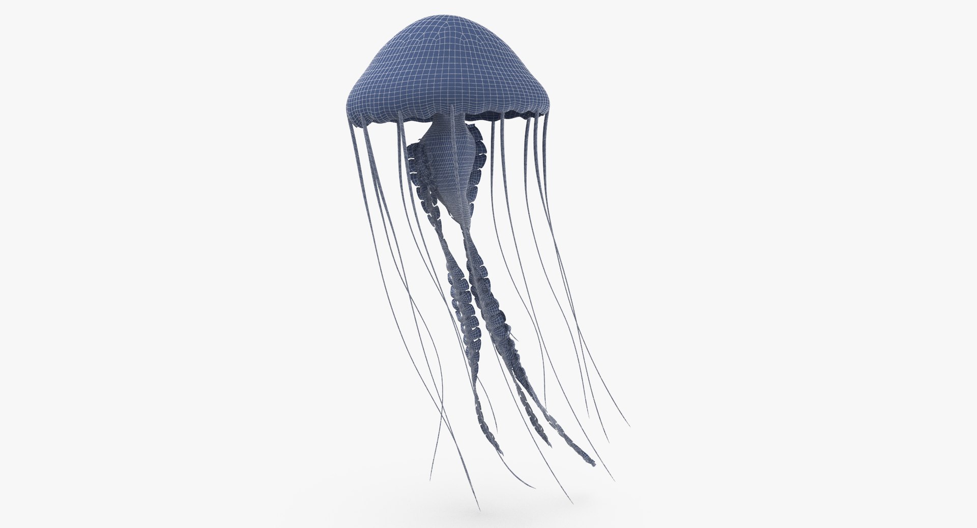 3D sea animals 02 https://p.turbosquid.com/ts-thumb/S5/FeuBcJ/7S1TSpXq/jellyfish_01_wireframe_0001/jpg/1499166754/1920x1080/fit_q87/7b40a21c4d7f1b81a3a8f3b58db17b7d6bac35ac/jellyfish_01_wireframe_0001.jpg
