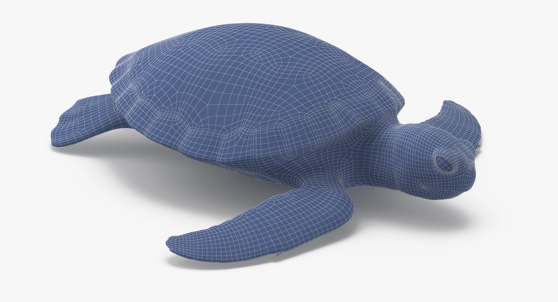 3D sea animals 02 https://p.turbosquid.com/ts-thumb/S5/FeuBcJ/BF65khro/sea_turtle_rig_001_wireframe_0005/jpg/1499167575/1920x1080/fit_q87/783aa578ea1ce988ad988a5116728b559590dc3d/sea_turtle_rig_001_wireframe_0005.jpg