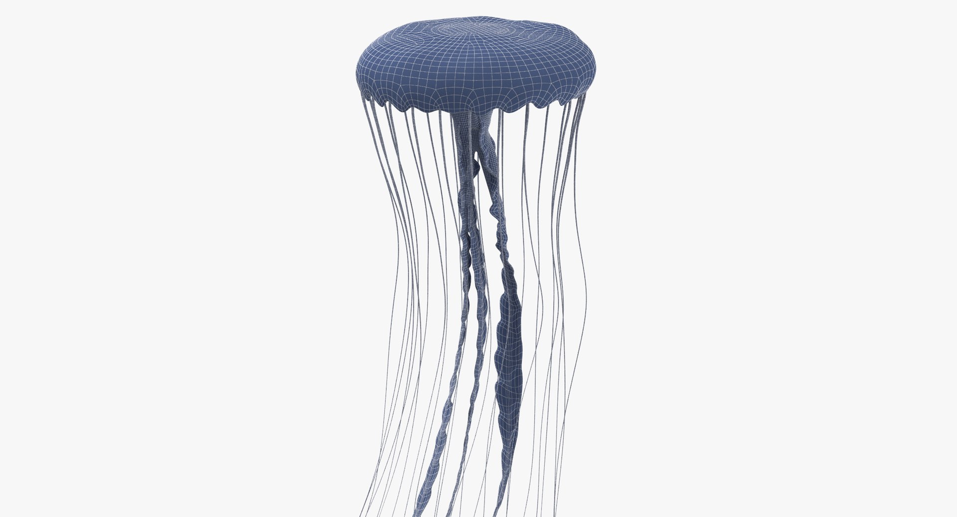 3D sea animals 02 https://p.turbosquid.com/ts-thumb/S5/FeuBcJ/DnvCDja0/jellyfish_02_001_wireframe_0005/jpg/1499167027/1920x1080/fit_q87/7aca5dcddda017613bf6333f65b61bfc880abca0/jellyfish_02_001_wireframe_0005.jpg
