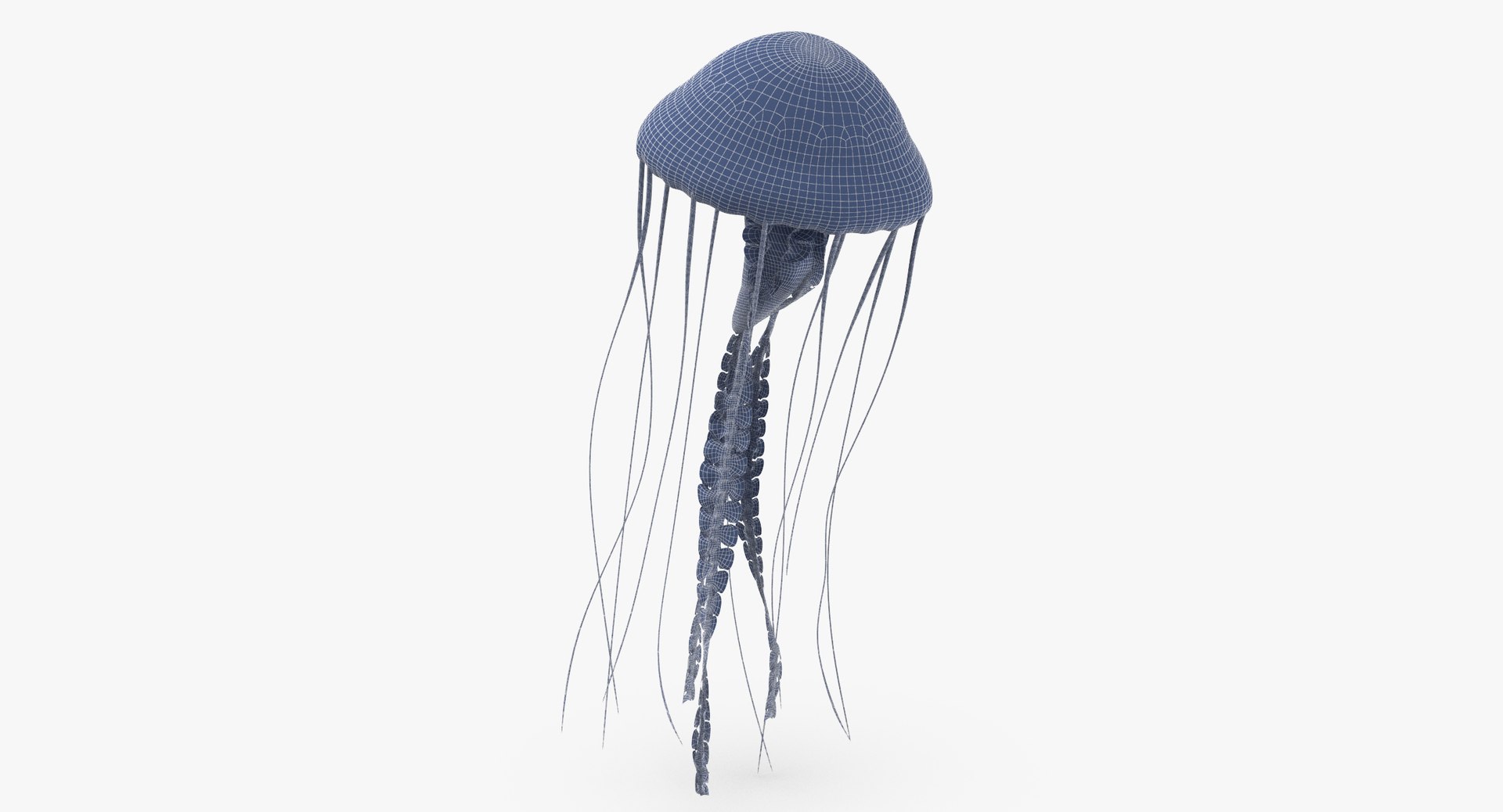 3D sea animals 02 https://p.turbosquid.com/ts-thumb/S5/FeuBcJ/IoXW0JSU/jellyfish_01_wireframe_0003/jpg/1499166754/1920x1080/fit_q87/309741665bbc6365c13792d6e98d3a00177cecbe/jellyfish_01_wireframe_0003.jpg