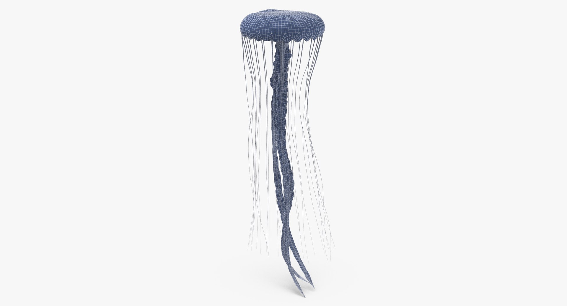 3D sea animals 02 https://p.turbosquid.com/ts-thumb/S5/FeuBcJ/Mb364lxU/jellyfish_02_001_wireframe_0004/jpg/1499167027/1920x1080/fit_q87/18ba54d71d74187bb8ecf4e91c7179eed45ed91a/jellyfish_02_001_wireframe_0004.jpg