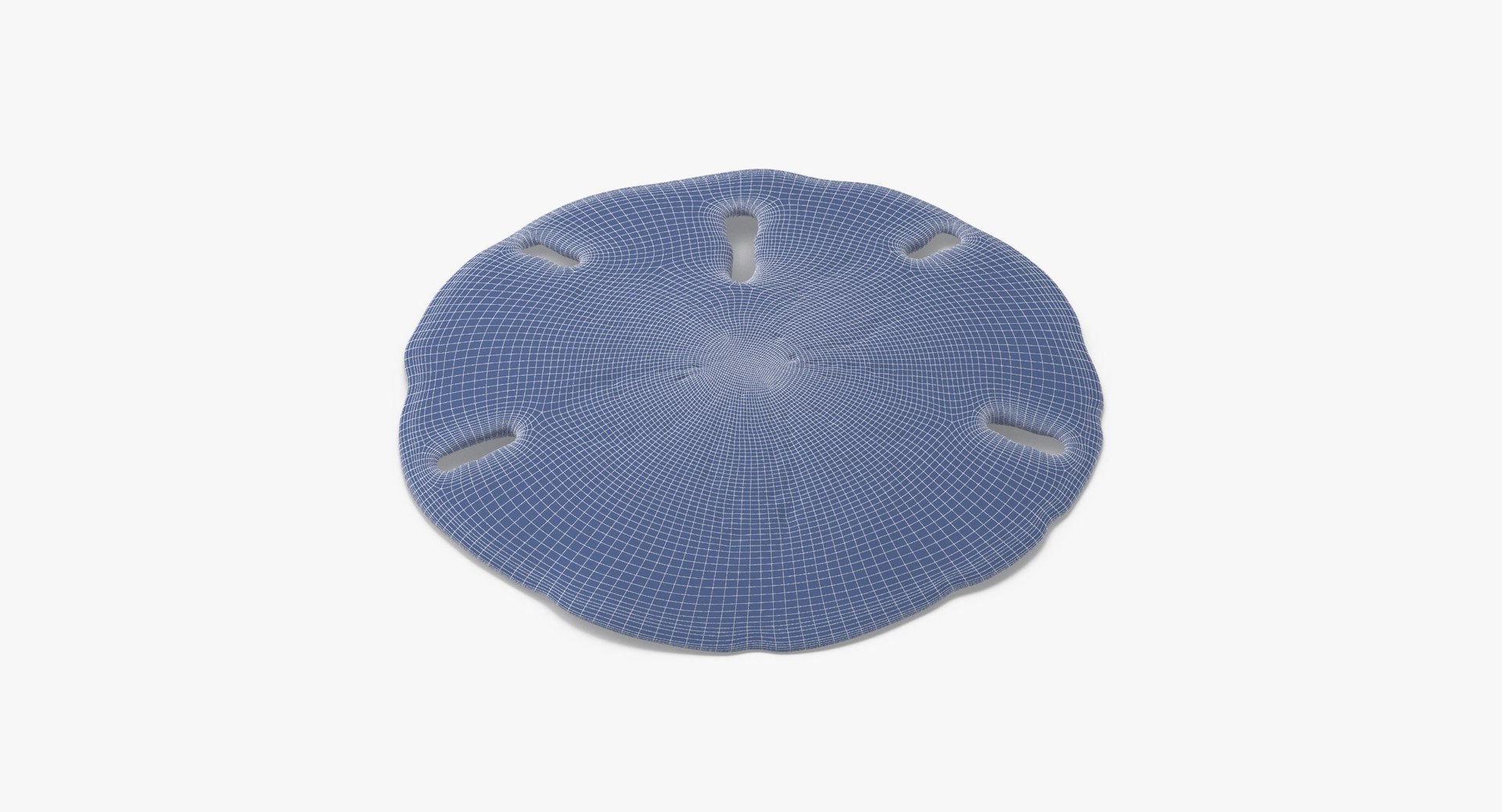 3D sea animals 02 https://p.turbosquid.com/ts-thumb/S5/FeuBcJ/WQY8t3pM/keyhole_sand_dollar_002_wireframe_0003/jpg/1499174599/1920x1080/fit_q87/23a186a60e84eb2e7ed8ab1697d2c8110bc1e87f/keyhole_sand_dollar_002_wireframe_0003.jpg