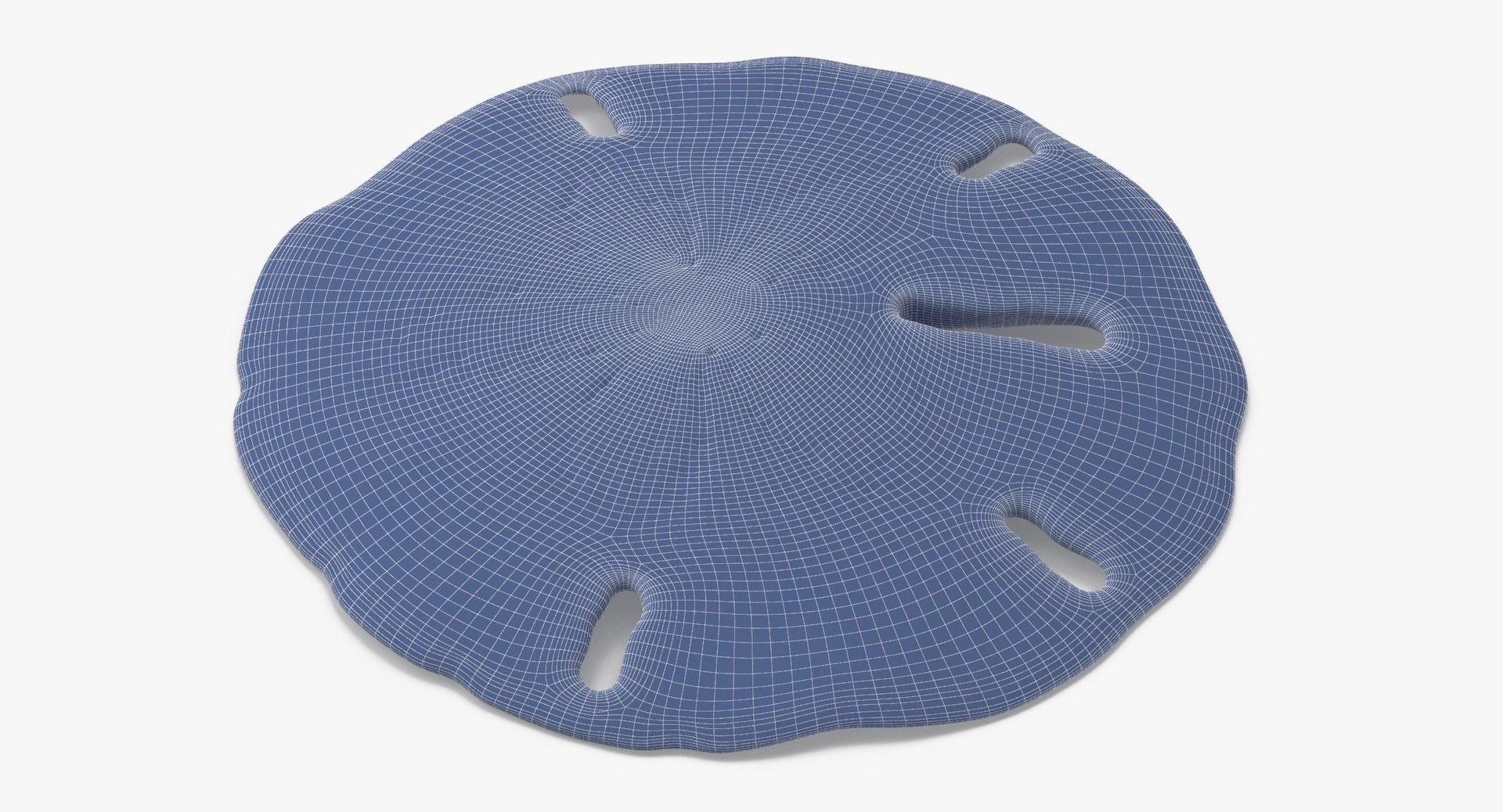 3D sea animals 02 https://p.turbosquid.com/ts-thumb/S5/FeuBcJ/XucxdnN1/keyhole_sand_dollar_002_wireframe_0004/jpg/1499174599/1920x1080/fit_q87/25b3f85175a75b6459a75403d0b30d1e3dc128bf/keyhole_sand_dollar_002_wireframe_0004.jpg