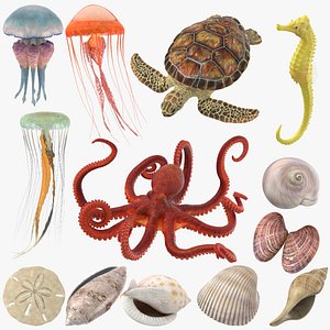 Sea Animals 02