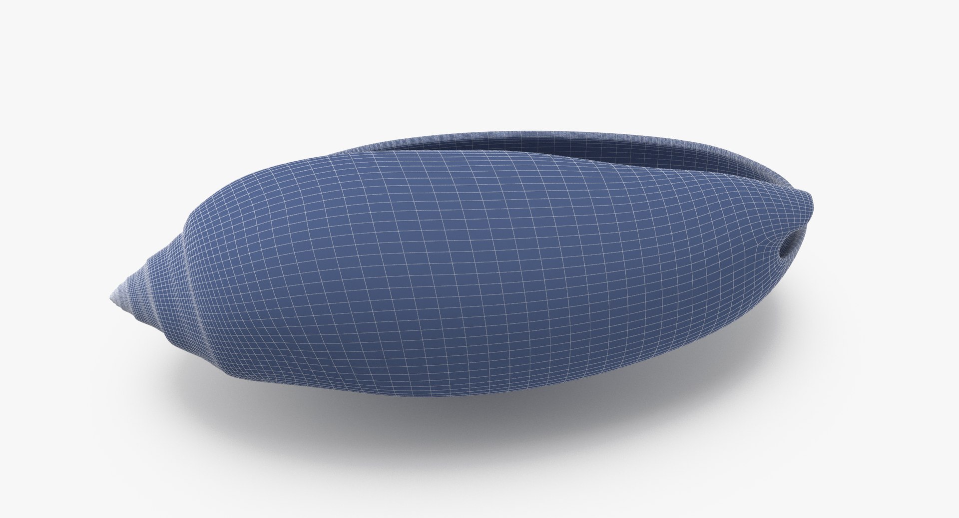 3D sea animals 02 https://p.turbosquid.com/ts-thumb/S5/FeuBcJ/cPD8dogp/olive_shell_002_wireframe_0002/jpg/1499175357/1920x1080/fit_q87/fe56f8800636391939a0367afba7344b7639d114/olive_shell_002_wireframe_0002.jpg