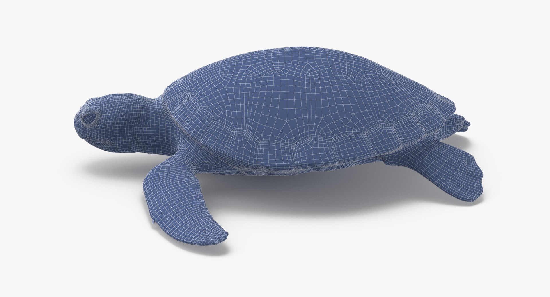 3D sea animals 02 https://p.turbosquid.com/ts-thumb/S5/FeuBcJ/j7ES8rPU/sea_turtle_rig_001_wireframe_0003/jpg/1499167575/1920x1080/fit_q87/b5af8d8d649ea48398a842531997f451edaa0240/sea_turtle_rig_001_wireframe_0003.jpg