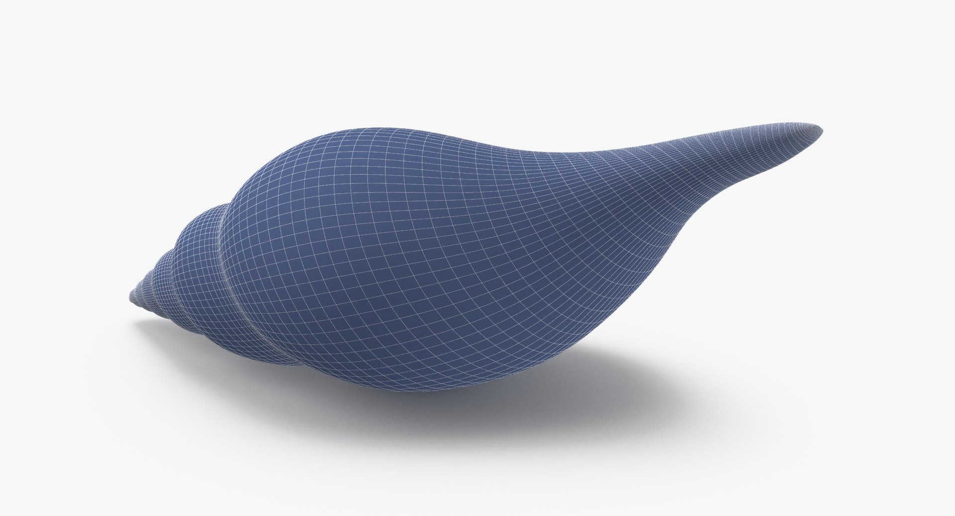 3D sea animals 02 https://p.turbosquid.com/ts-thumb/S5/FeuBcJ/khhinUXl/tulip_shell_002_wireframe_0005/jpg/1499177873/1920x1080/fit_q87/a388732f3577ff05c6031dcde63332b2e8c14f15/tulip_shell_002_wireframe_0005.jpg