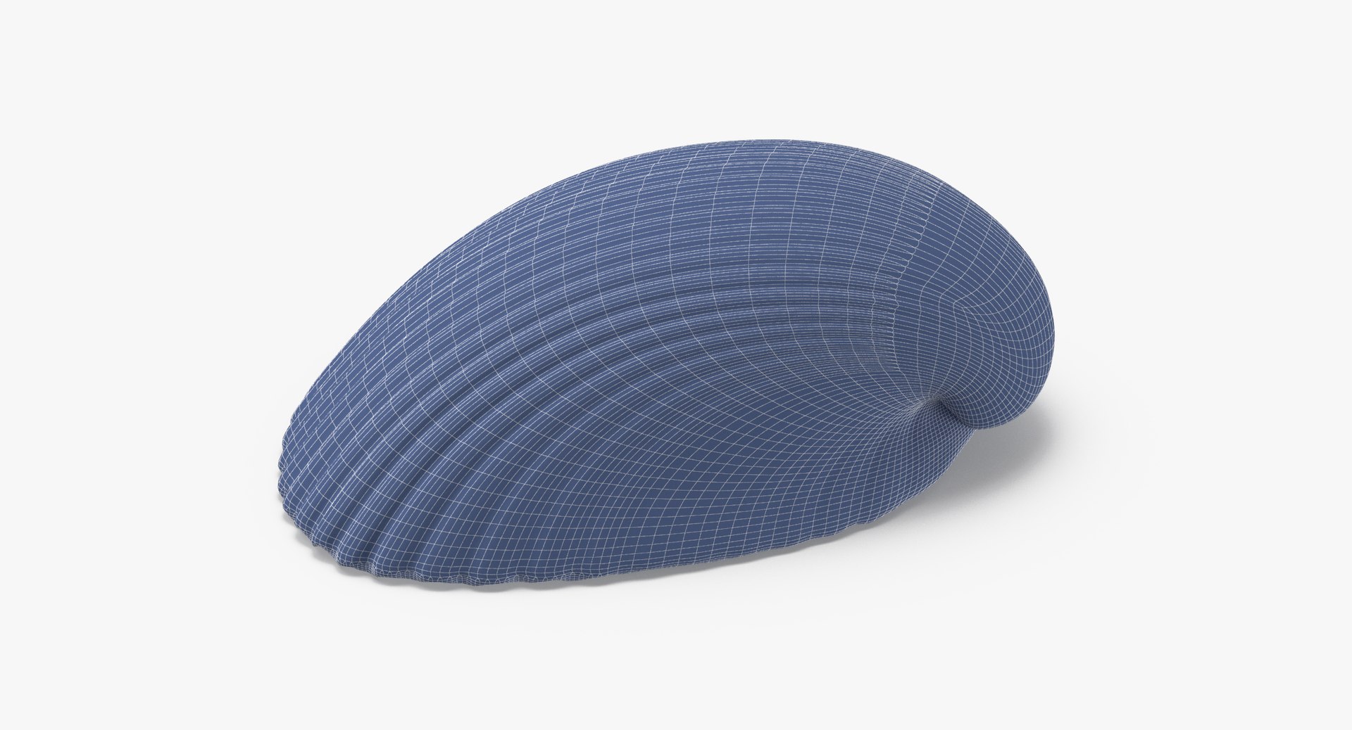 3D sea animals 02 https://p.turbosquid.com/ts-thumb/S5/FeuBcJ/p3GlcEsY/heart_cockle_shell_002_wireframe_0002/jpg/1499169425/1920x1080/fit_q87/233710880eb51c0a2f16764e498b4561766bc2a4/heart_cockle_shell_002_wireframe_0002.jpg