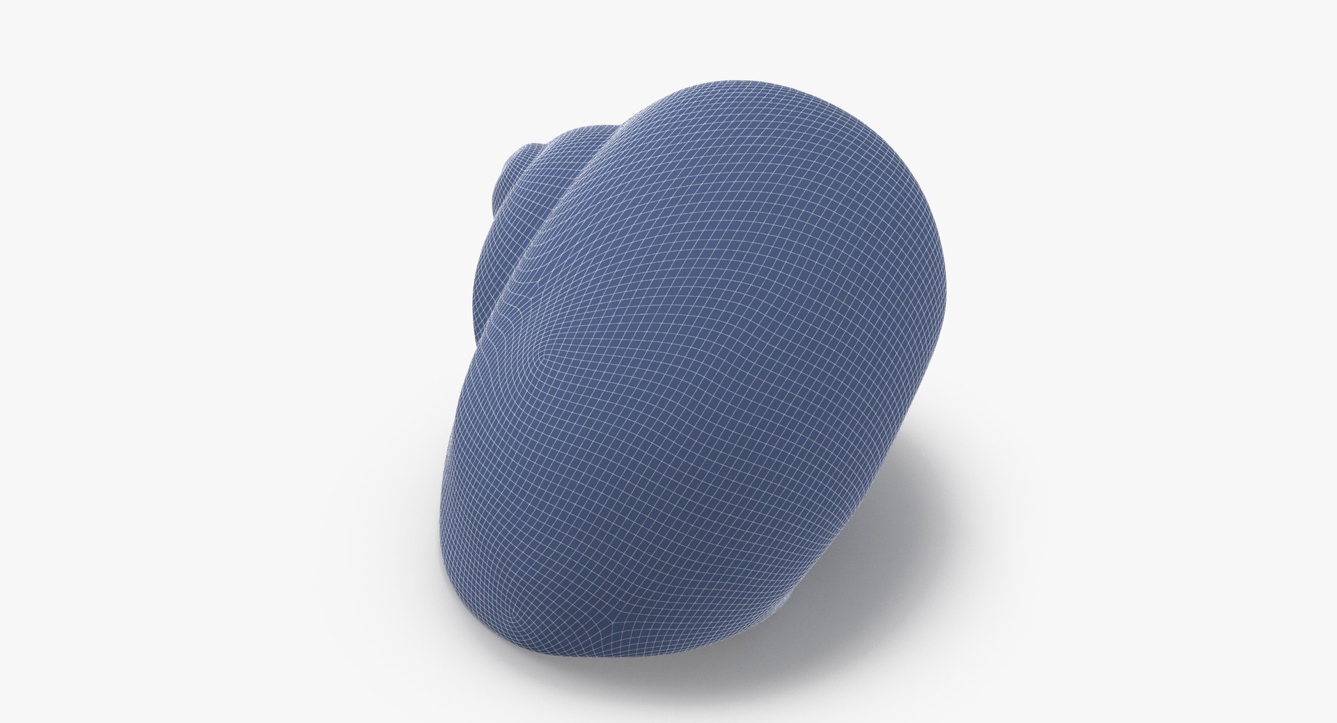 3D sea animals 02 https://p.turbosquid.com/ts-thumb/S5/FeuBcJ/p7GW9jeb/sharkeye_moon_shell_002_wireframe_0002/jpg/1499176922/1920x1080/fit_q87/25a3b8047846d81ae8830f9932347b2afeec25e2/sharkeye_moon_shell_002_wireframe_0002.jpg
