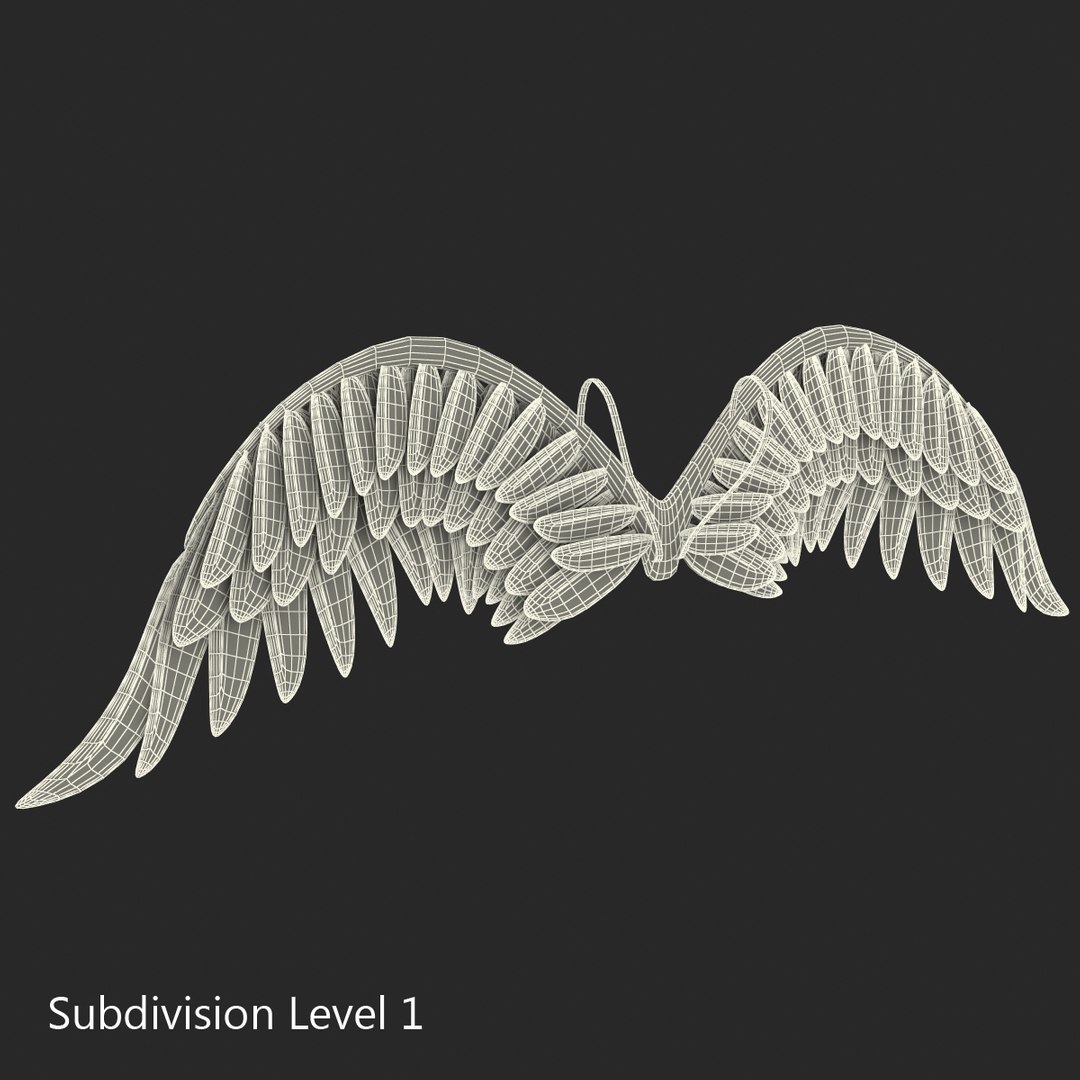 3ds max costume angel wings fur https://p.turbosquid.com/ts-thumb/S5/K250Sy/6Gqsvt9C/costumeangelwingsfur_7/jpg/1398809507/1920x1080/fit_q87/5ee644292310b515ee95edfb28903a28b3bcd870/costumeangelwingsfur_7.jpg