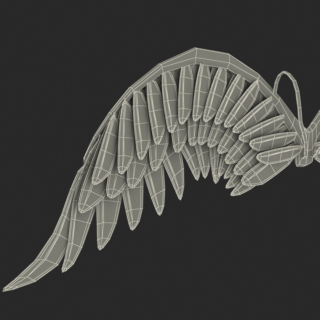 3ds max costume angel wings fur https://p.turbosquid.com/ts-thumb/S5/K250Sy/c2b1CB92/costumeangelwingsfur_20/jpg/1398809555/1920x1080/fit_q87/8efb1944a8969968d71a36933181a459f20f1f07/costumeangelwingsfur_20.jpg