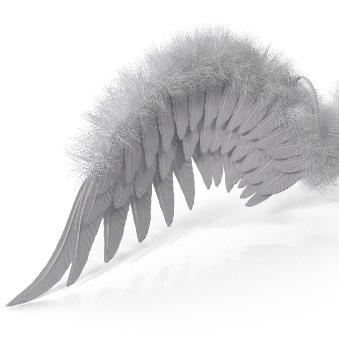 3ds max costume angel wings fur https://p.turbosquid.com/ts-thumb/S5/K250Sy/cT0WfGNe/costumeangelwingsfur_14/jpg/1398809529/1920x1080/fit_q87/35956c4a6e6e95ade4a93af5f2875ae9e457b6d9/costumeangelwingsfur_14.jpg