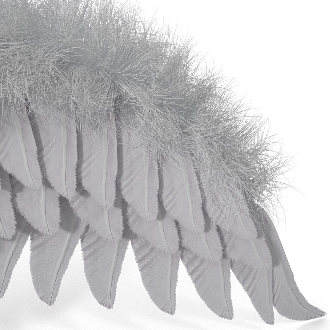 3ds max costume angel wings fur https://p.turbosquid.com/ts-thumb/S5/K250Sy/nc9btIUe/costumeangelwingsfur_16/jpg/1398809537/1920x1080/fit_q87/38e72c800ec1d9bcb0a390c99f9d82b5920474b5/costumeangelwingsfur_16.jpg