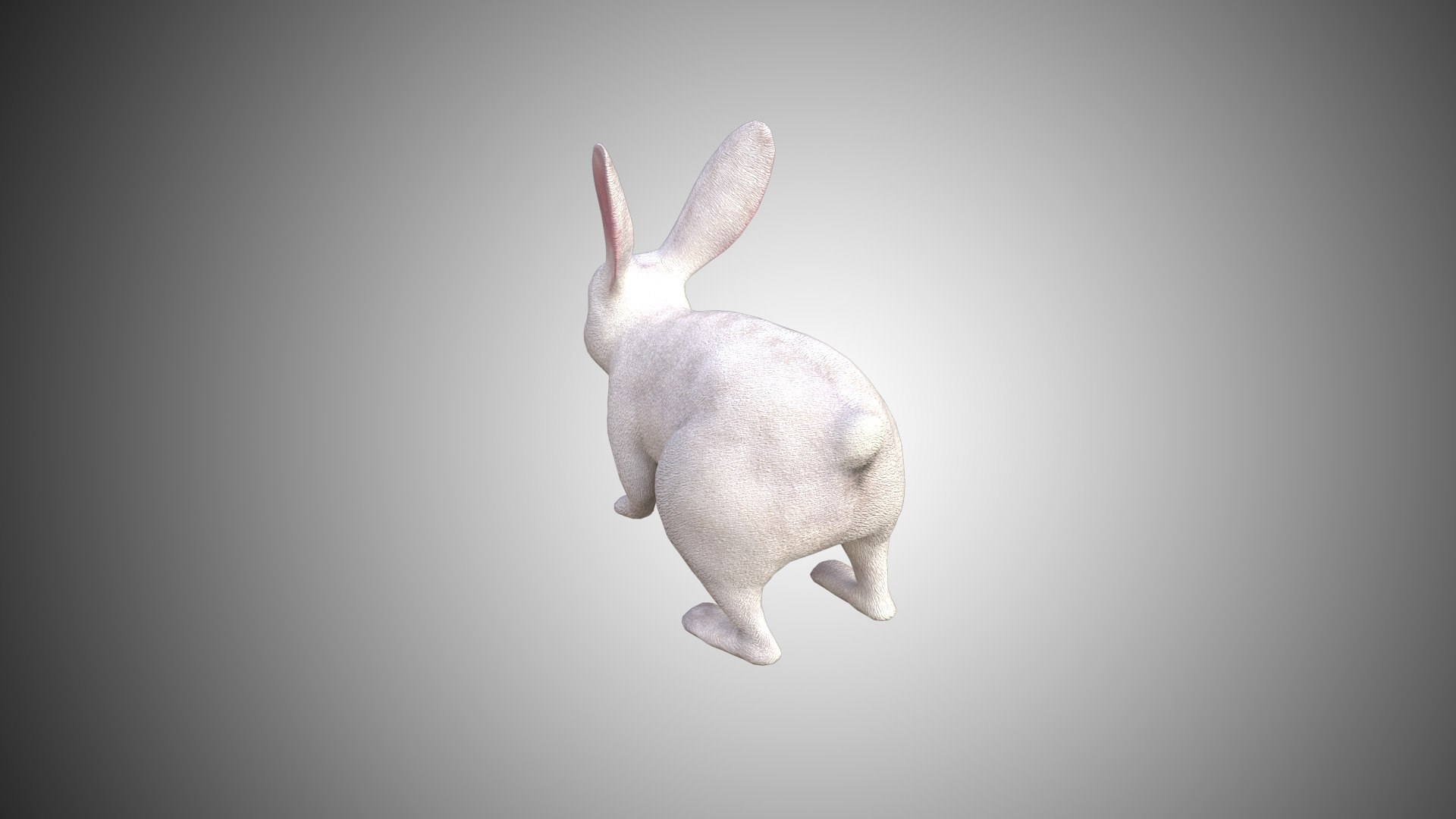 3D White Rabbit Model - TurboSquid 1610791