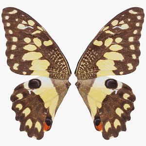 Lime Butterfly Remastered model