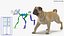 pug dog rigged 3D model