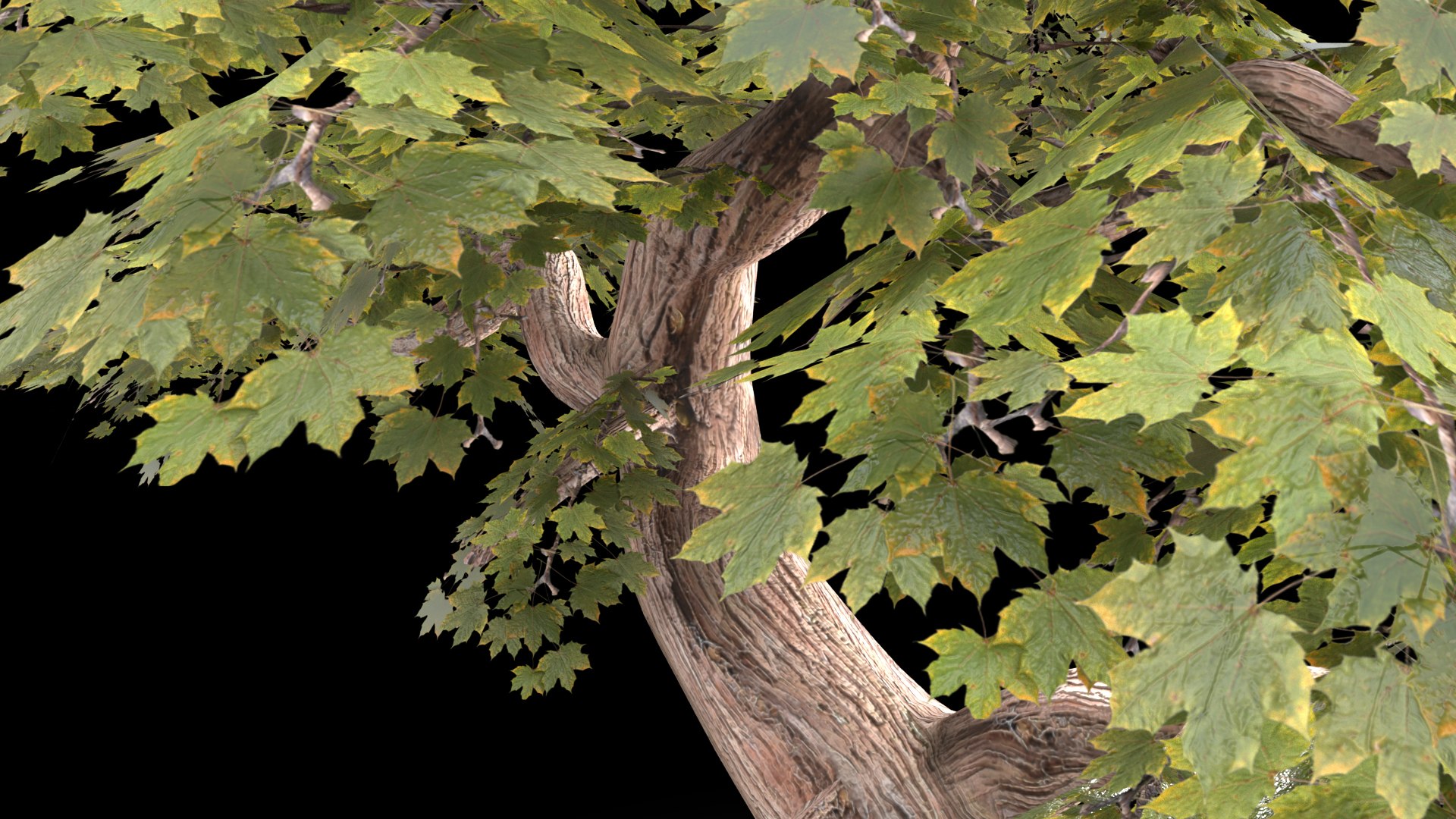 Nature Tree 3D - TurboSquid 1679127