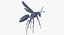 Paper Wasp Flying