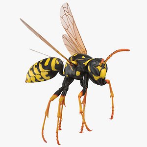3D paper wasp flying