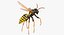 Paper Wasp Flying