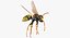 Paper Wasp Flying