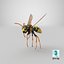 Paper Wasp Flying
