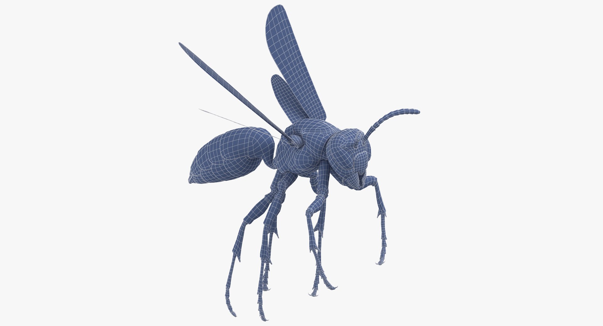 3D paper wasp flying https://p.turbosquid.com/ts-thumb/S5/YdaWai/U5q5rh4e/paper_wasp_flying_wireframe_0001/jpg/1550052192/1920x1080/fit_q87/50475552234382a4d7462d652ec42b12dcb6fc8c/paper_wasp_flying_wireframe_0001.jpg