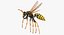 Paper Wasp Flying