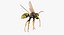 Paper Wasp Flying