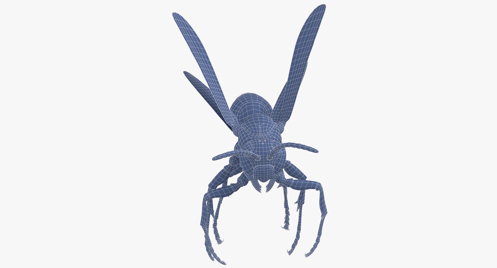 3D paper wasp flying https://p.turbosquid.com/ts-thumb/S5/YdaWai/fkWg39RX/paper_wasp_flying_wireframe_0004/jpg/1550052193/1920x1080/fit_q87/1e0e9a51c7ef2a31a9d665cc035221140ce8049d/paper_wasp_flying_wireframe_0004.jpg
