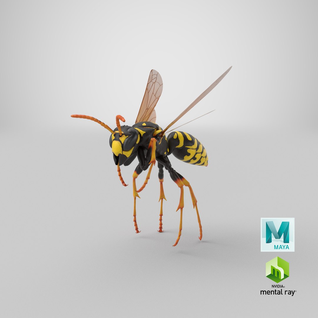 3D paper wasp flying https://p.turbosquid.com/ts-thumb/S5/YdaWai/iIwps3wD/stemcell_maya_mental_ray_render/png/1551126463/1920x1080/fit_q87/34a0ac98488e19d8331e8259ef2a08b425cc7bd8/stemcell_maya_mental_ray_render.jpg