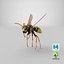 Paper Wasp Flying