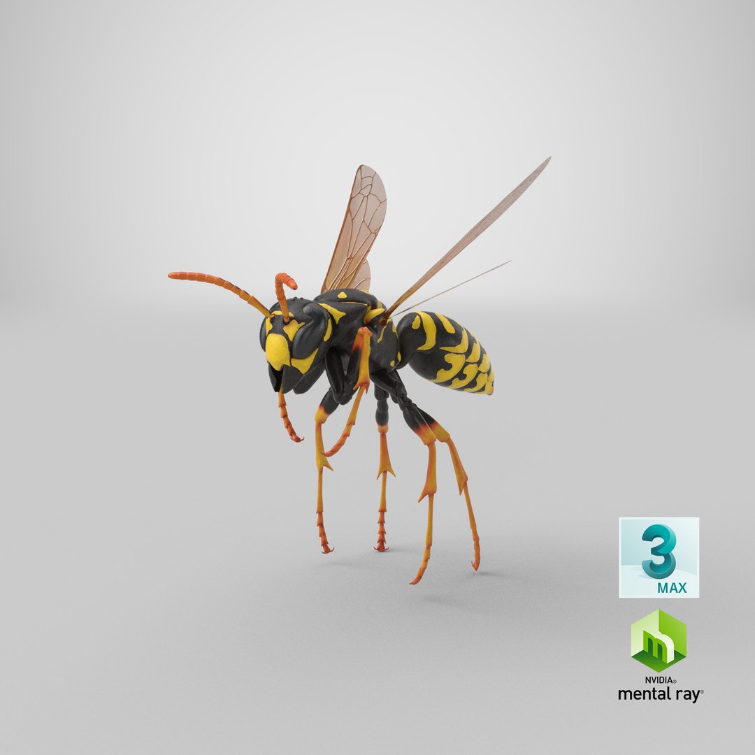 3D paper wasp flying https://p.turbosquid.com/ts-thumb/S5/YdaWai/iYP3PRzl/stemcell_max_mental_ray_render/png/1551126475/1920x1080/fit_q87/d08e2033e727400cb26fb8c06fde1315640d9985/stemcell_max_mental_ray_render.jpg