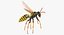 Paper Wasp Flying