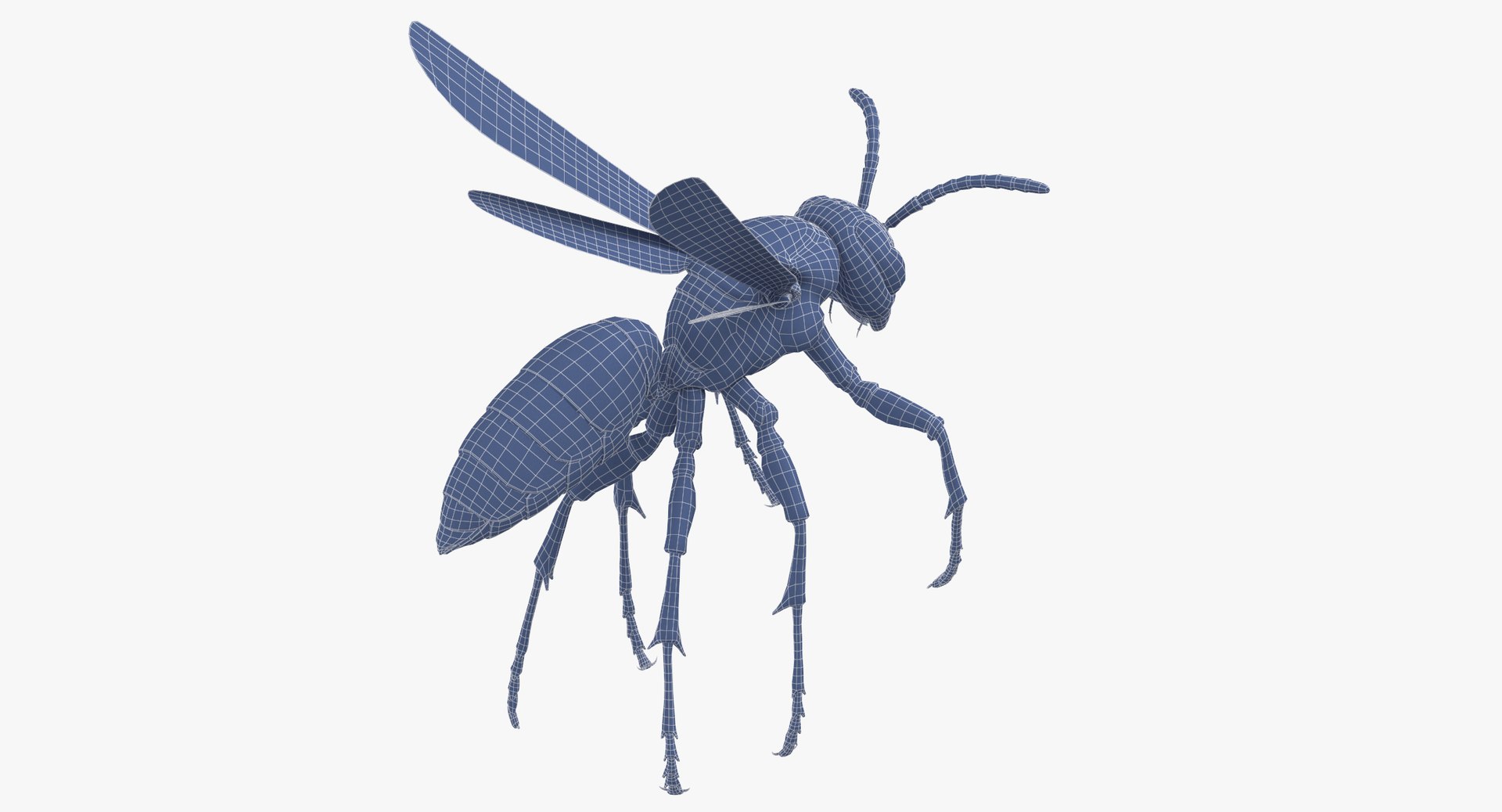 3D paper wasp flying https://p.turbosquid.com/ts-thumb/S5/YdaWai/jO9yAfDw/paper_wasp_flying_wireframe_0002/jpg/1550052192/1920x1080/fit_q87/31a03a4a802102c33982b1a57d3a3e8d312ee5f5/paper_wasp_flying_wireframe_0002.jpg